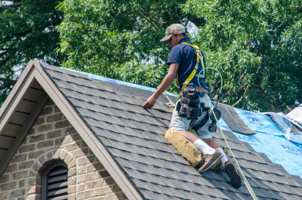 Best Roof Leak Repair  in Van Wert, OH